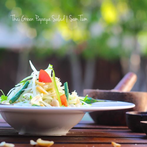 https://eatmoreart.org/wp-content/uploads/2018/12/Thai-Green-Papaya-Salad-Som-Tum-IMG_7388-500x500.jpg